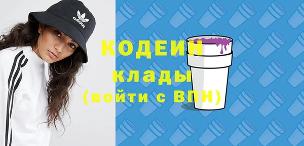 дурь Тавда