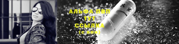 дурь Тавда