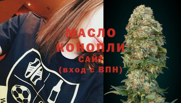 гидра Тайга