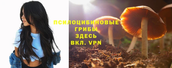 мяу мяу мука Сясьстрой