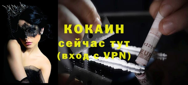 прущие грибы Строитель