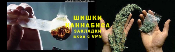 гидра Тайга