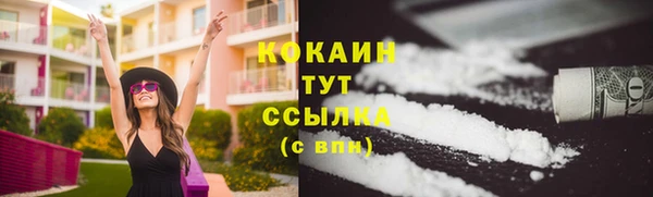 прущие грибы Строитель