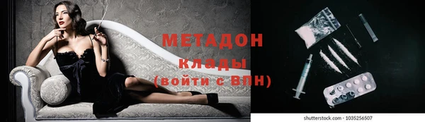 прущие грибы Строитель