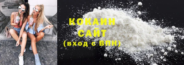 мяу мяу мука Сясьстрой