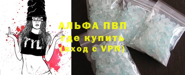 прущие грибы Строитель