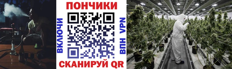 Канабис MAZAR  Купить где  Волгоград 